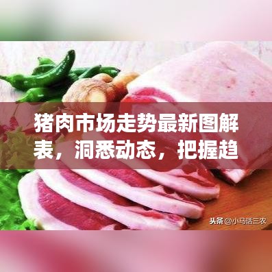 猪肉市场走势最新图解表，洞悉动态，把握趋势