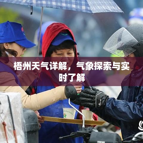 梧州天气详解，气象探索与实时了解