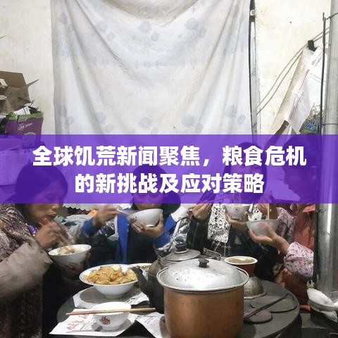 全球饥荒新闻聚焦，粮食危机的新挑战及应对策略