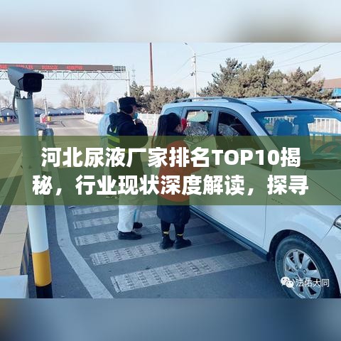 河北尿液厂家排名TOP10揭秘，行业现状深度解读，探寻值得信赖的品牌