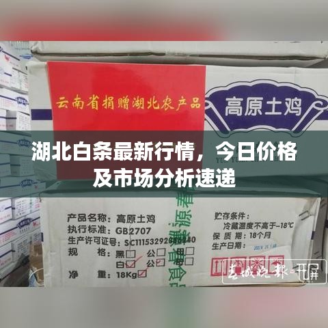 湖北白条最新行情，今日价格及市场分析速递