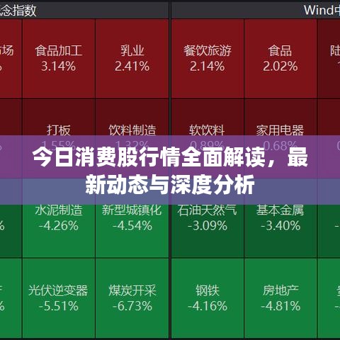 今日消费股行情全面解读，最新动态与深度分析