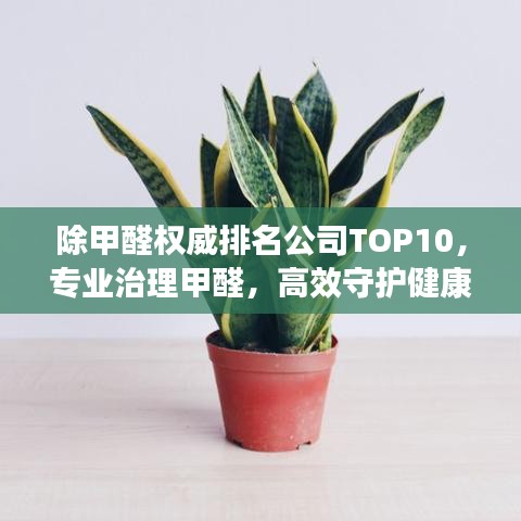 除甲醛权威排名公司TOP10，专业治理甲醛，高效守护健康之道