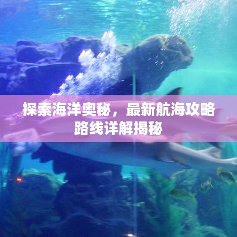 探索海洋奥秘，最新航海攻略路线详解揭秘