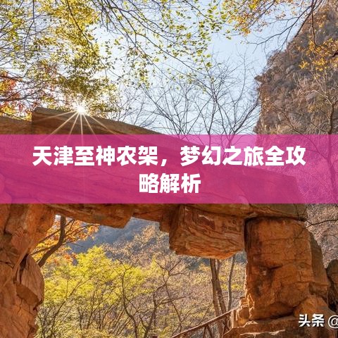 天津至神农架，梦幻之旅全攻略解析