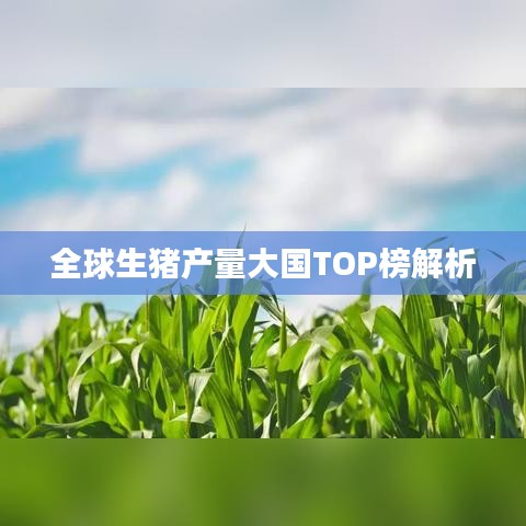 全球生猪产量大国TOP榜解析