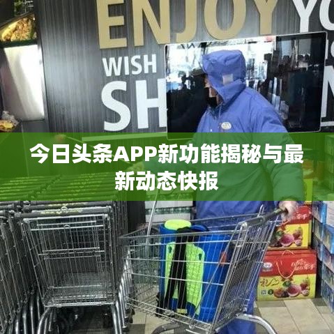 今日头条APP新功能揭秘与最新动态快报