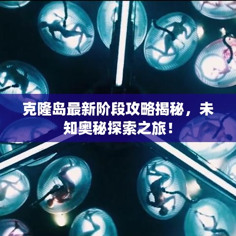 克隆岛最新阶段攻略揭秘，未知奥秘探索之旅！