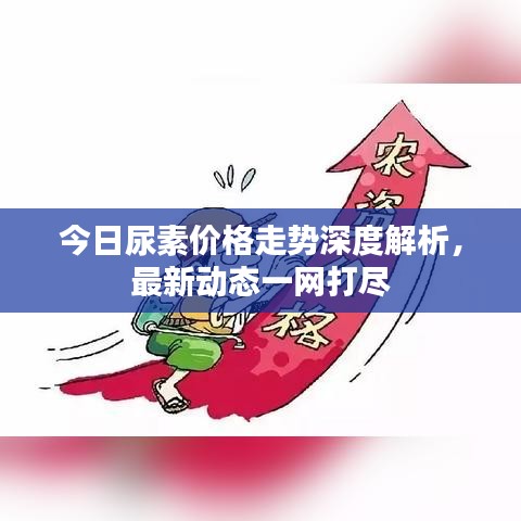 今日尿素价格走势深度解析，最新动态一网打尽