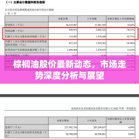 棕榈油股价最新动态，市场走势深度分析与展望