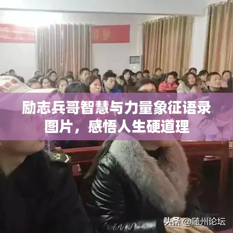 励志兵哥智慧与力量象征语录图片，感悟人生硬道理