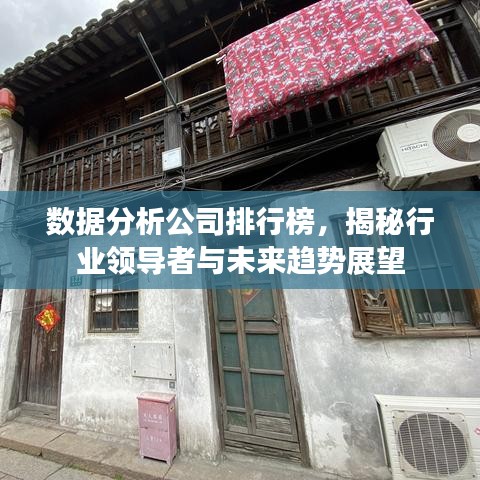 数据分析公司排行榜，揭秘行业领导者与未来趋势展望