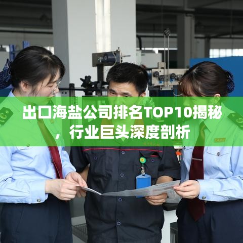 出口海盐公司排名TOP10揭秘，行业巨头深度剖析