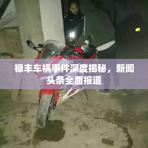 禄丰车祸事件深度揭秘，新闻头条全面报道