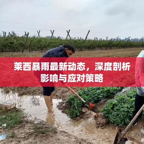 莱西暴雨最新动态，深度剖析影响与应对策略