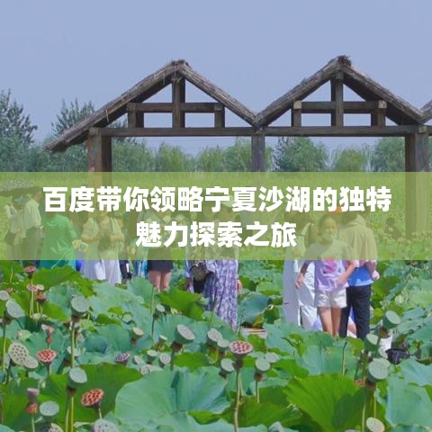 百度带你领略宁夏沙湖的独特魅力探索之旅