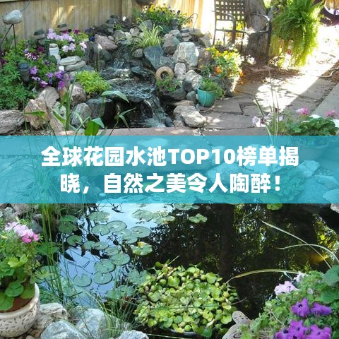 全球花园水池TOP10榜单揭晓，自然之美令人陶醉！