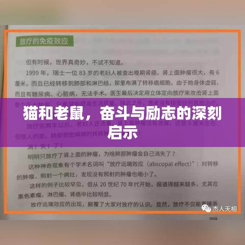 猫和老鼠，奋斗与励志的深刻启示