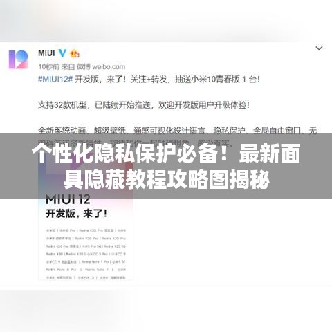 个性化隐私保护必备！最新面具隐藏教程攻略图揭秘