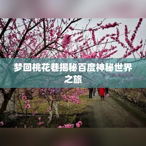 梦回桃花巷揭秘百度神秘世界之旅