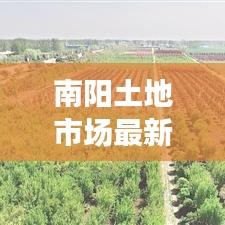 南阳土地市场最新动态解读，今日消息揭秘土地发展趋势