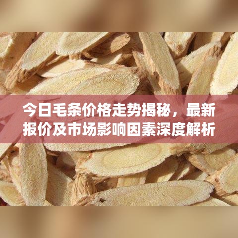 今日毛条价格走势揭秘，最新报价及市场影响因素深度解析