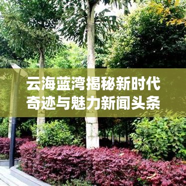 云海蓝湾揭秘新时代奇迹与魅力新闻头条