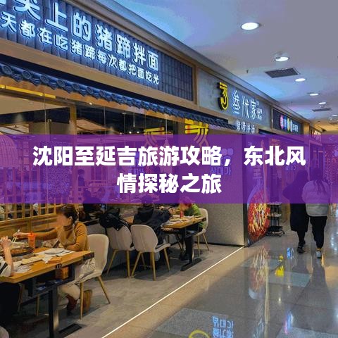 沈阳至延吉旅游攻略，东北风情探秘之旅