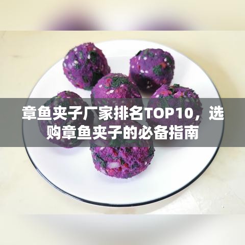 章鱼夹子厂家排名TOP10，选购章鱼夹子的必备指南