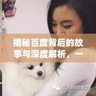 揭秘百度背后的故事与深度解析，一探究竟