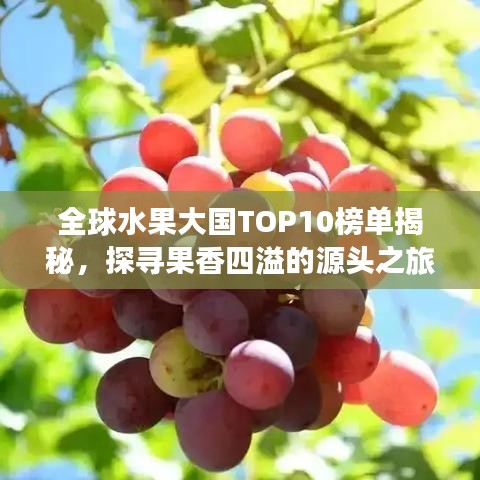 全球水果大国TOP10榜单揭秘，探寻果香四溢的源头之旅