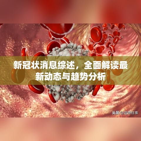 淡泊以明志，宁静以致远