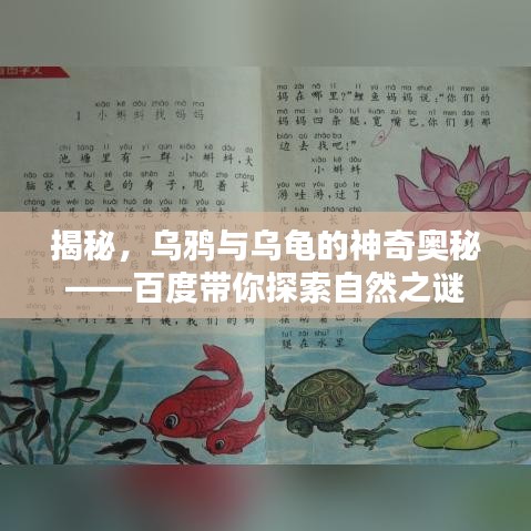 揭秘，乌鸦与乌龟的神奇奥秘——百度带你探索自然之谜