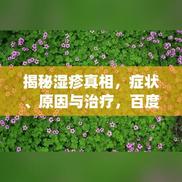 揭秘湿疹真相，症状、原因与治疗，百度权威解读病症知识！