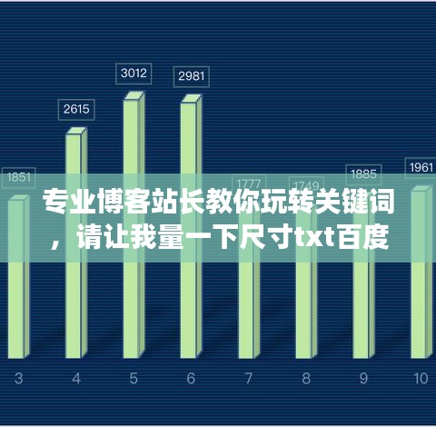 专业博客站长教你玩转关键词，请让我量一下尺寸txt百度云指南