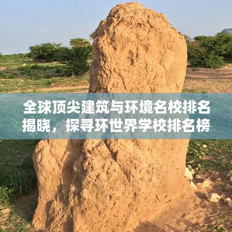 全球顶尖建筑与环境名校排名揭晓，探寻环世界学校排名榜单！