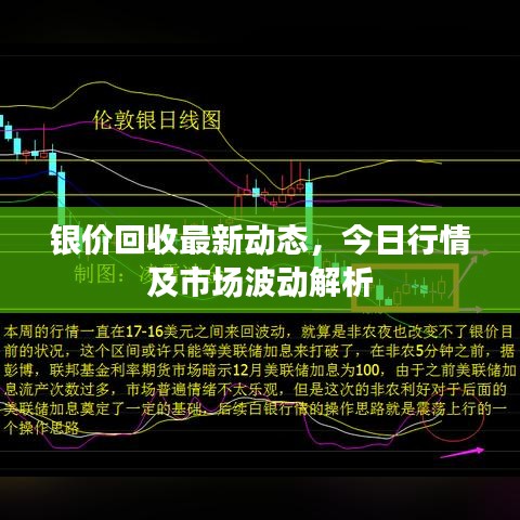 银价回收最新动态，今日行情及市场波动解析