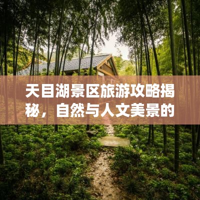 天目湖景区旅游攻略揭秘，自然与人文美景的双重探索！