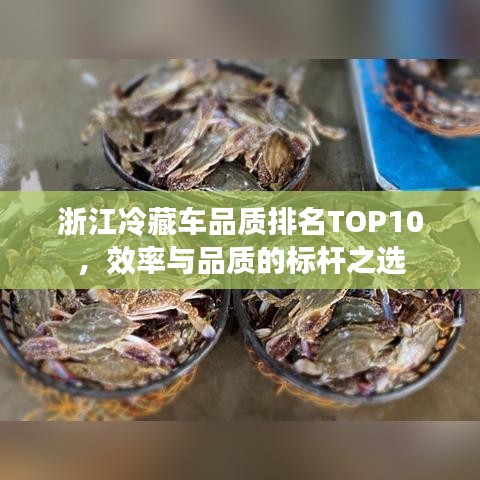 浙江冷藏车品质排名TOP10，效率与品质的标杆之选