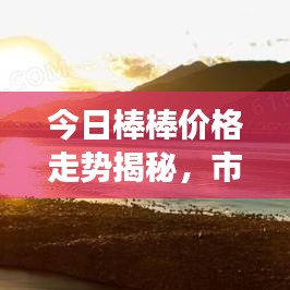 今日棒棒价格走势揭秘，市场动向与消费者关注热点