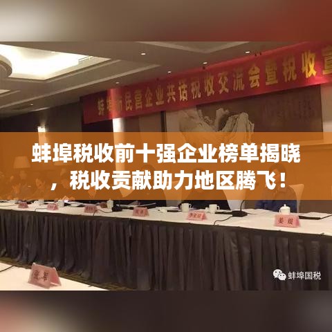 蚌埠税收前十强企业榜单揭晓，税收贡献助力地区腾飞！