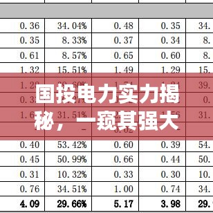 国投电力实力揭秘，一窥其强大背景与实力！