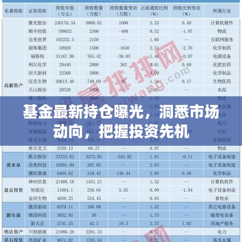 基金最新持仓曝光，洞悉市场动向，把握投资先机