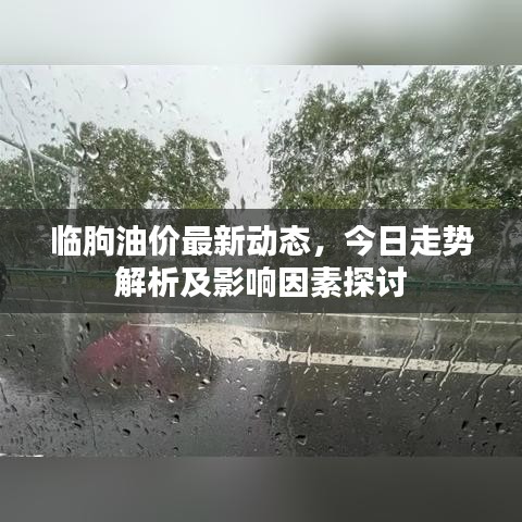 临朐油价最新动态，今日走势解析及影响因素探讨