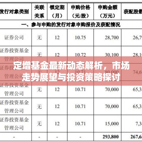 定增基金最新动态解析，市场走势展望与投资策略探讨