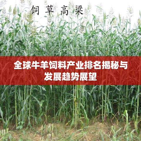 全球牛羊饲料产业排名揭秘与发展趋势展望