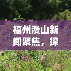 福州漫山新闻聚焦，探寻城市新脉动