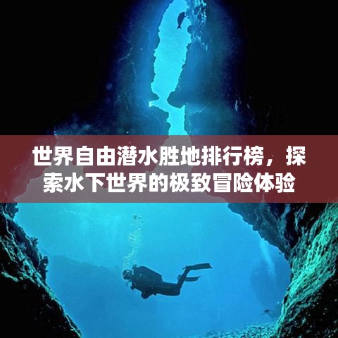 世界自由潜水胜地排行榜，探索水下世界的极致冒险体验