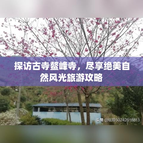 探访古寺鳌峰寺，尽享绝美自然风光旅游攻略