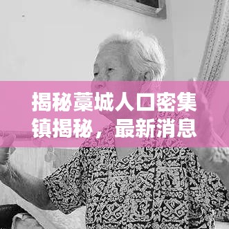 揭秘藁城人口密集镇揭秘，最新消息解析